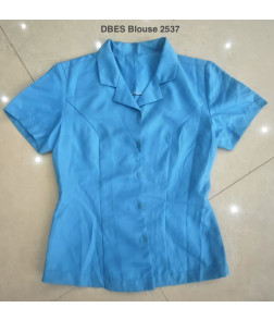 DBES Blouse 2537