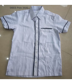 DBES POLO 2535
